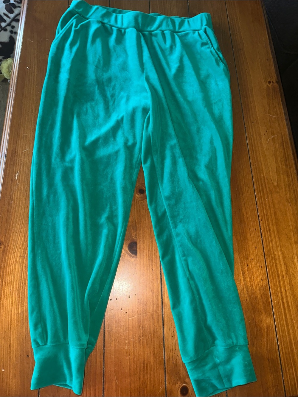 Cable & Gauge Teal Velour/Velvet Joggers
